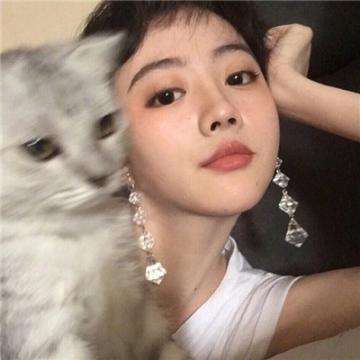 蛋蛋总动员手游果盘版下载